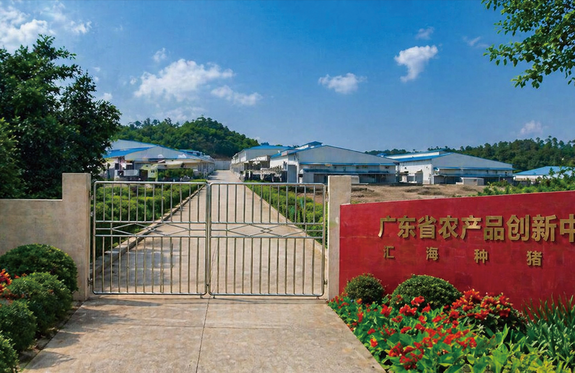 B体育研发基地